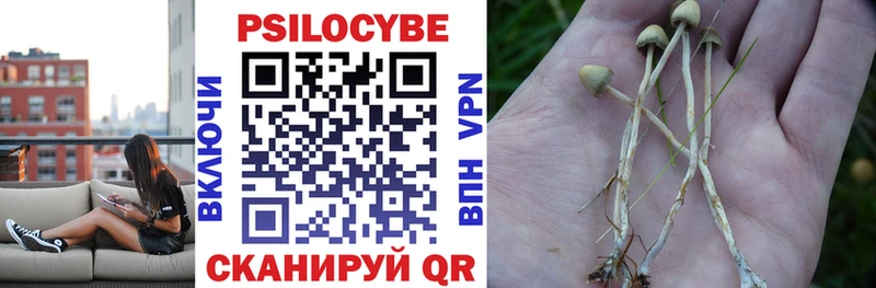 Галлюциногенные грибы прущие грибы  Питкяранта 